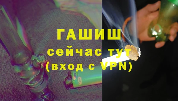 индика Аркадак