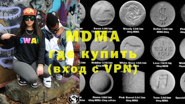 индика Аркадак