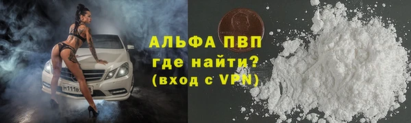 индика Аркадак