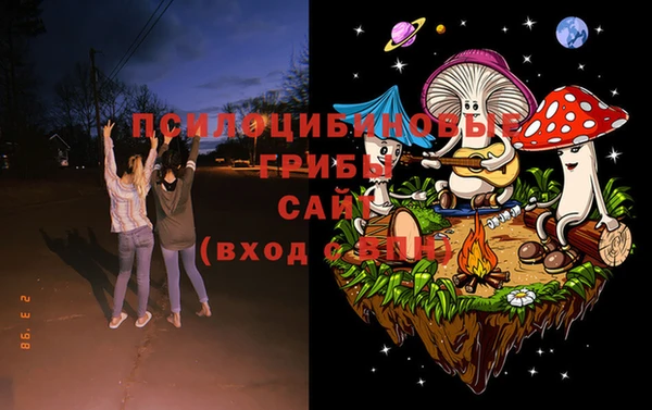 мет Арсеньев