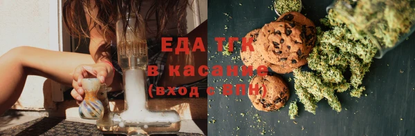 индика Аркадак
